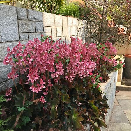 Robin Woods Homestay ساكليشبور المظهر الخارجي الصورة