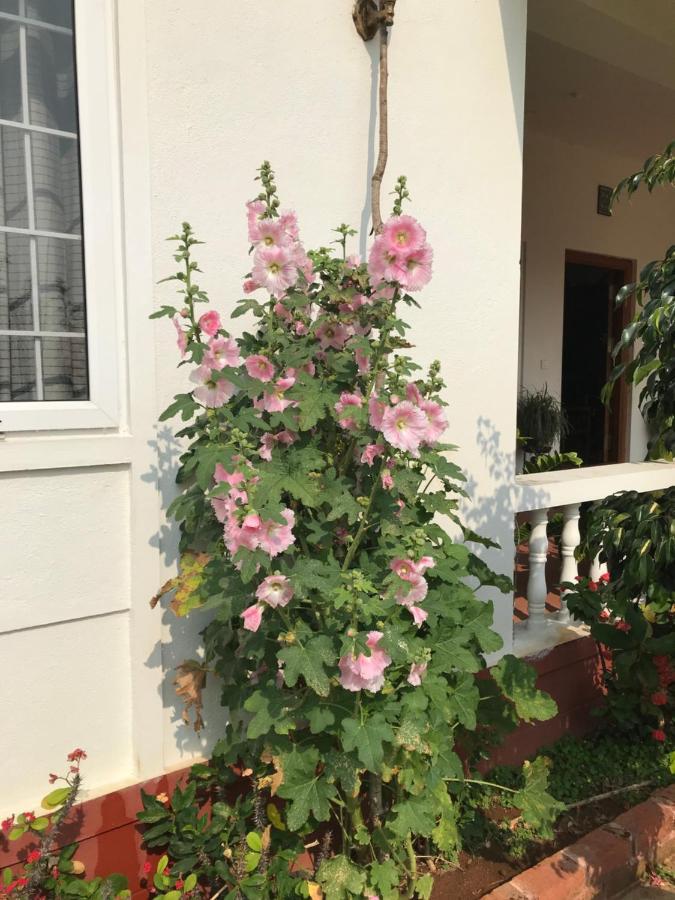Robin Woods Homestay ساكليشبور المظهر الخارجي الصورة