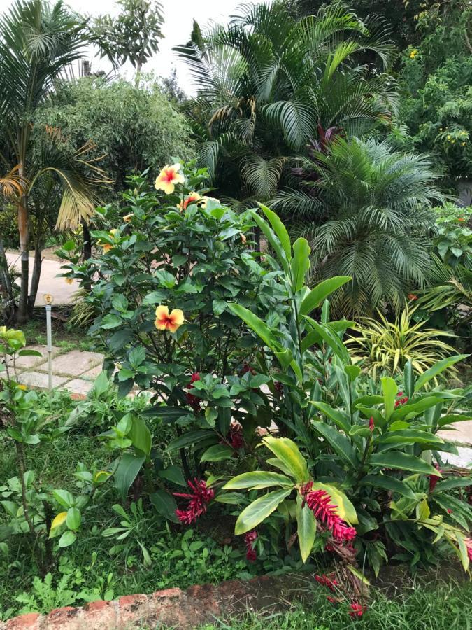 Robin Woods Homestay ساكليشبور المظهر الخارجي الصورة