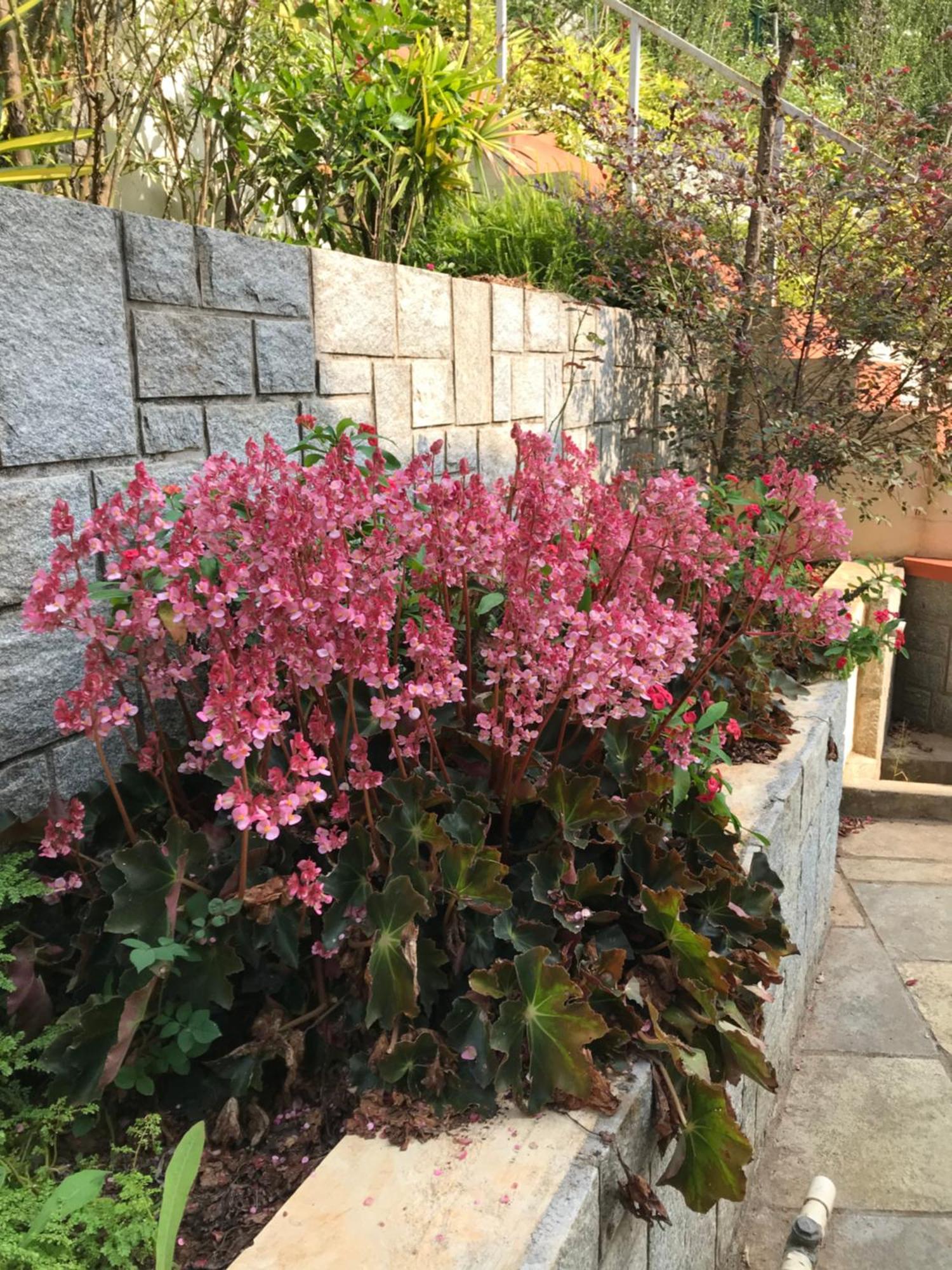 Robin Woods Homestay ساكليشبور المظهر الخارجي الصورة